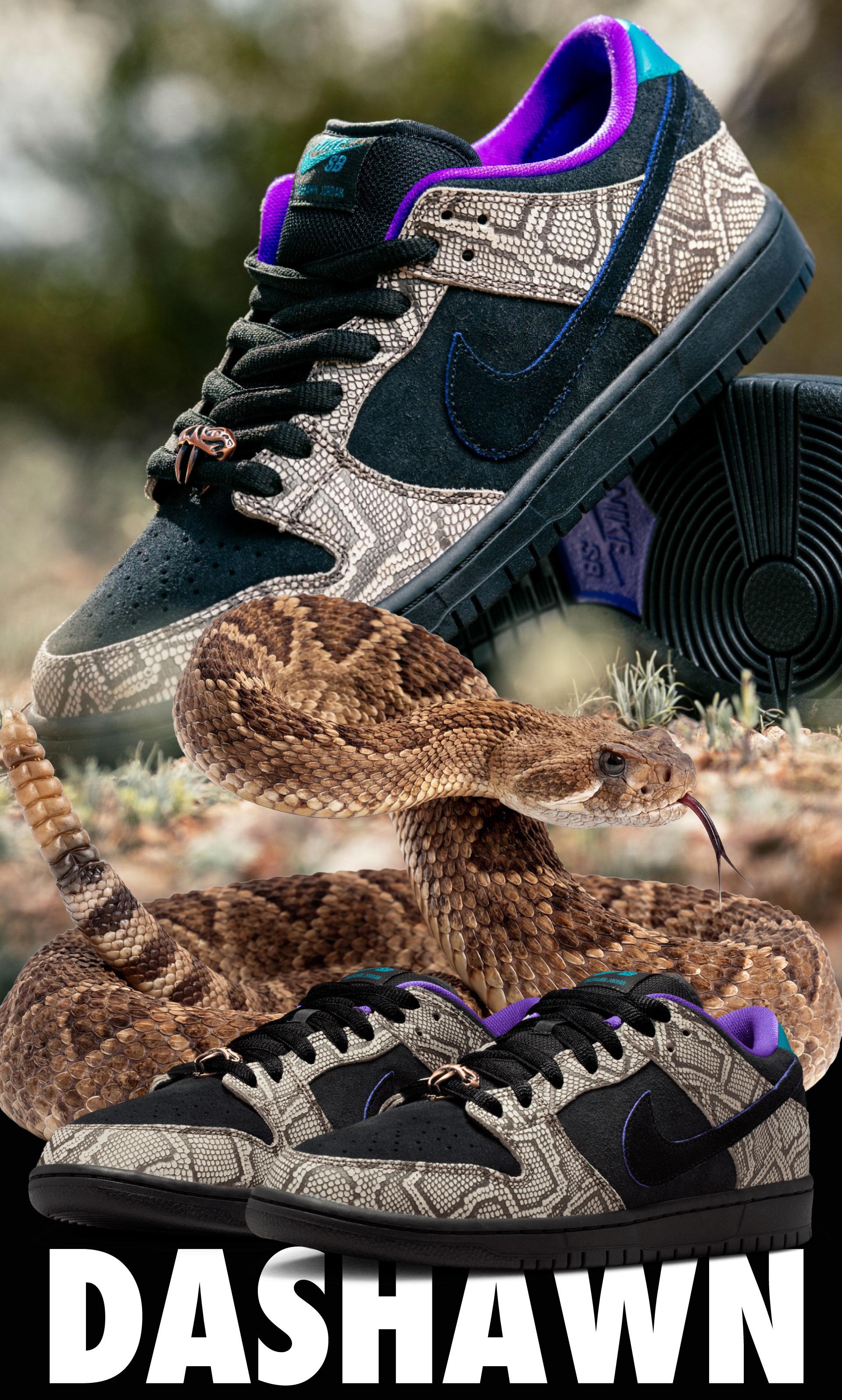 THE SNAKES ARE OUT !