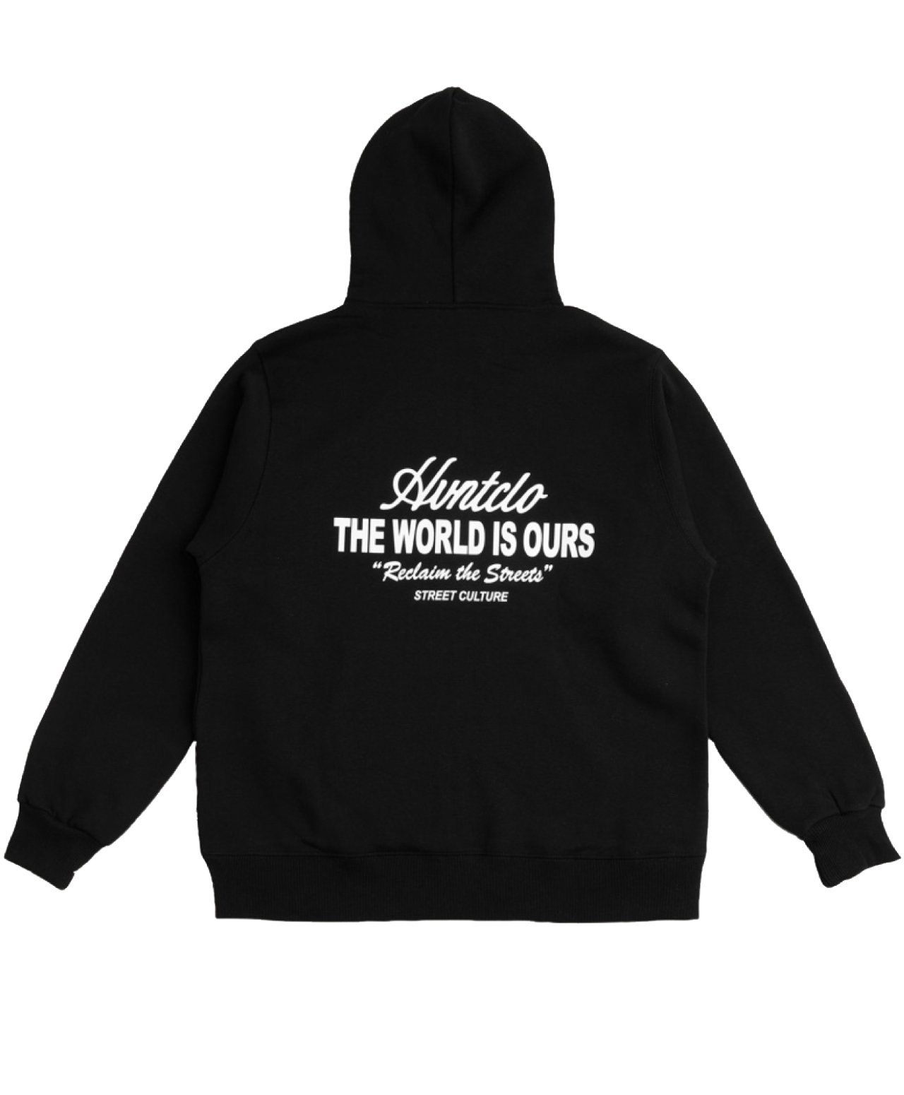 HVNT THE WORLD IS OURS ZIP HOOD BLACK