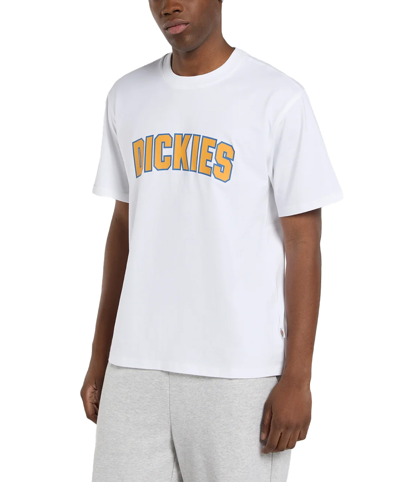 DICKIES AITKIN TEE WHITE